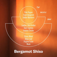 Load image into Gallery viewer, P.F. CANDLE CO BERGAMOT SHISO || INCENSE CONES