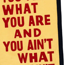 Load image into Gallery viewer, OXFORD PENNANT YOU ARE WHAT YOU ARE CAMP FLAG || JOHN PRINE