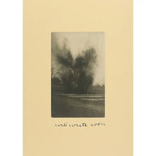 Load image into Gallery viewer, WILL WRITE SOON