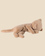 Load image into Gallery viewer, MAILEG SLEEPING KITTEN PLUSH, SMALL || CREAM PEACH