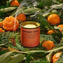 Load image into Gallery viewer, P.F. CANDLE CO BERGAMOT SHISO || INCENSE CONES