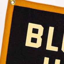 Load image into Gallery viewer, OXFORD PENNANT BLOWUP YOUR TV CAMP FLAG || JOHN PRINE