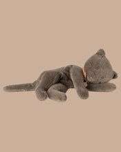 Load image into Gallery viewer, PREORDER - MAILEG SLEEPING KITTEN PLUSH, MEDIUM || GRAY