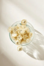 Load image into Gallery viewer, SILVER DAISY || WHITE
