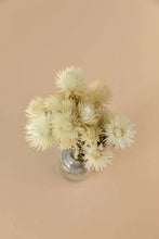 Load image into Gallery viewer, SILVER DAISY || WHITE
