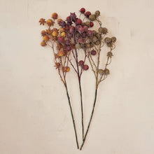 Load image into Gallery viewer, FAUX ROSE HIP STEM
