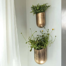 Load image into Gallery viewer, ANTIQUE BRASS CYLINDER WALL PLANTERS
