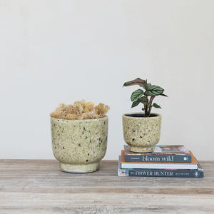 TERRA COTTA PLANTER || 2 SIZES